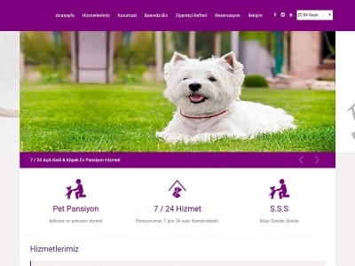 Antalya Pet Pansiyon