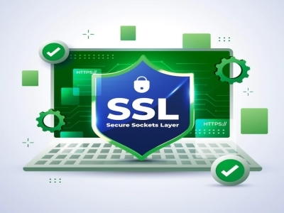 SSL Nedir?